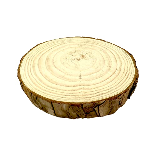 Amazon.co.jp: 天然木の台座 ディスプレイスタンド スギの木 切り株 1