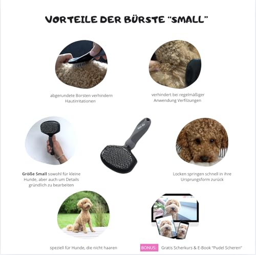 Moki Bär Softbürste Hundebürste Pudel mit Schutznoppen für besonders empfindliche Tiere I Ideal für Nicht haarende Hunde I Small