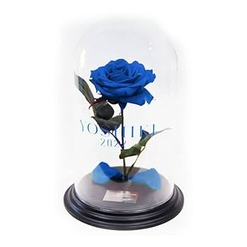 Amazon.co.jp: YOSHIKI CLASSICAL ブリザーブドフラワーBlue