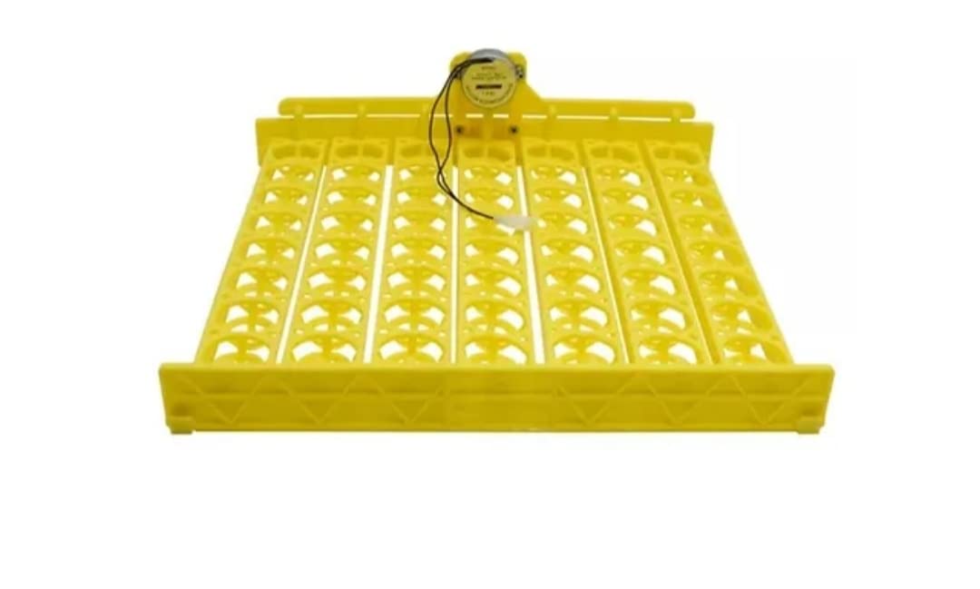 BL Electronics Automatic Incubator Egg Tray Design for 56 Chicken/Duck Eggs Plastic tray set With AC220V 4W Motor-image-39