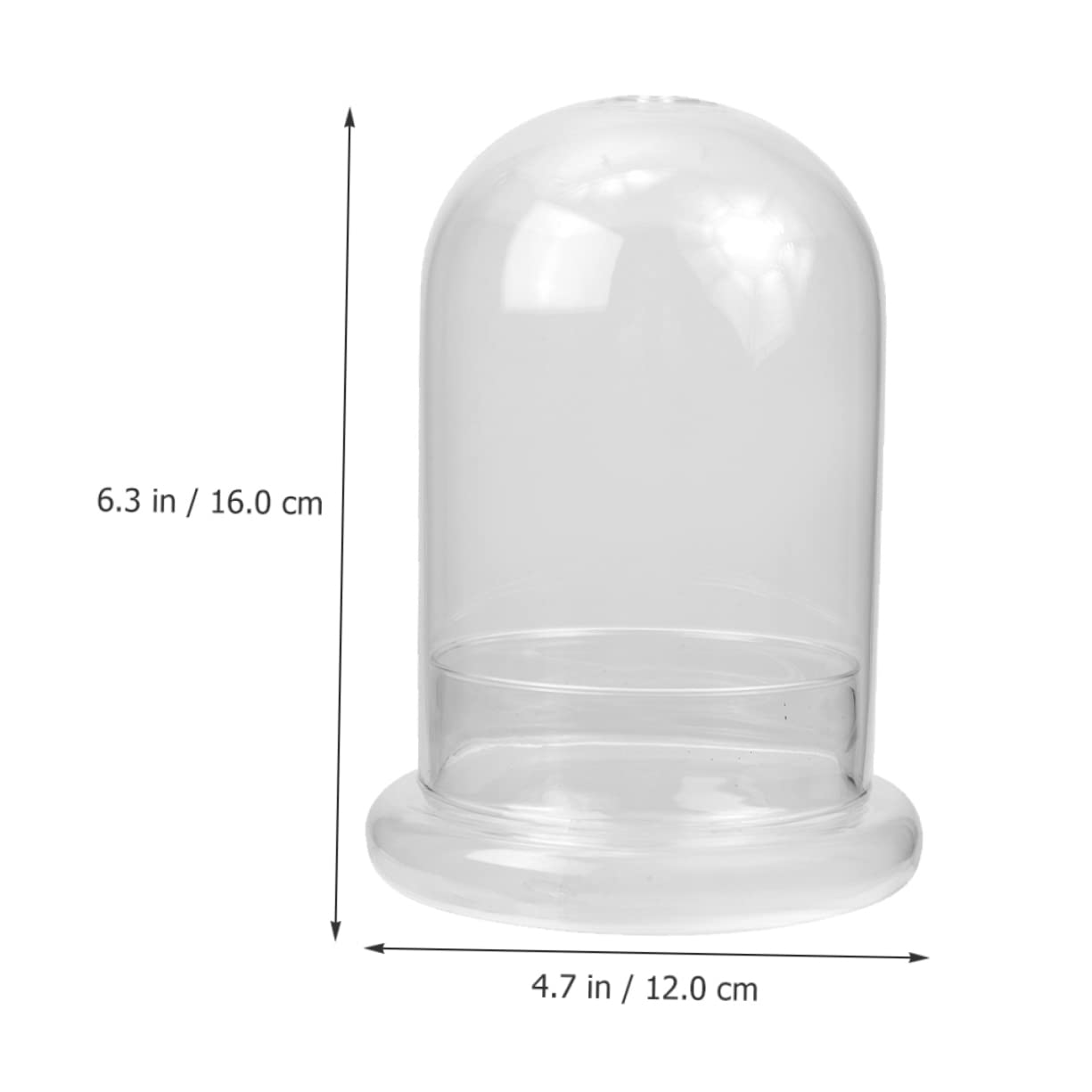 BESTonZON Vaso Terrario Bottiglia in Vetro Ecologica Per Micro Paesaggi Coltivazione Di Piante Di Muschio Contenitore Decorativo Per Paesaggi Fai Da Te