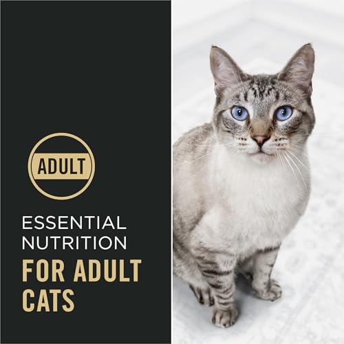 Purina Pro Plan High Protein Cat Food With Probiotics for Cats, Chicken and Rice Formula - 16 lb. Bag