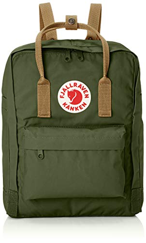 30 Migliori Zaino Fjallraven Kanken Testato e Qualificato
