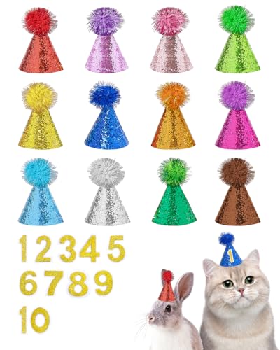 BIPY Lot de 12 mini chapeaux de fête d'anniversaire pour chiots, chats, lapins, animaux en peluche, chatons, chapeaux réglables avec chiffres et points de colle pour vacances, mariage, accessoires de