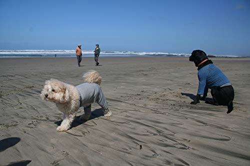 Mozzie Pants XL Walking Pants Grey - Thumbnail 4