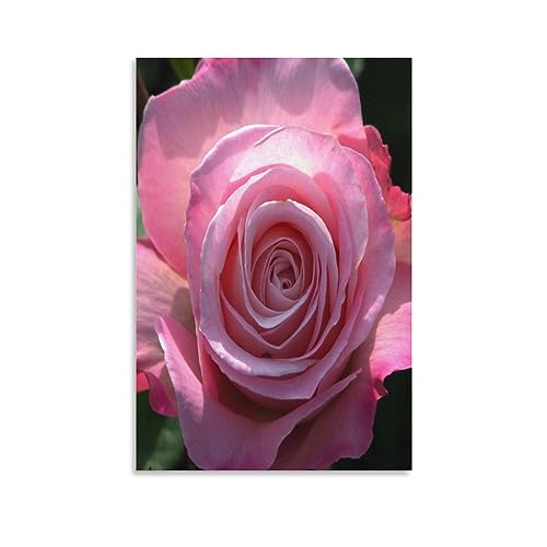 Tableaux mur impression sur toile rose 60x90cm IOFEER pour la décoration de la maison