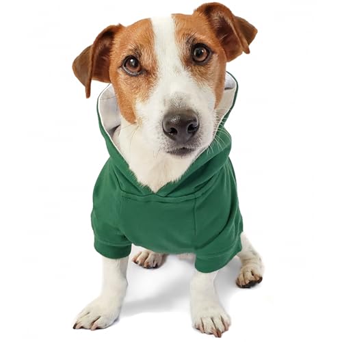 DJANGO Dog Hoodie – Warm Winter Dog Sweater & Fully Lined, Cozy Sweatshirt for Small & Medium Dogs, Dachshunds – Soft, Stretchy, Puppy Hoodie Leash Portal, Elastic Waistband – Forest Green, Medium