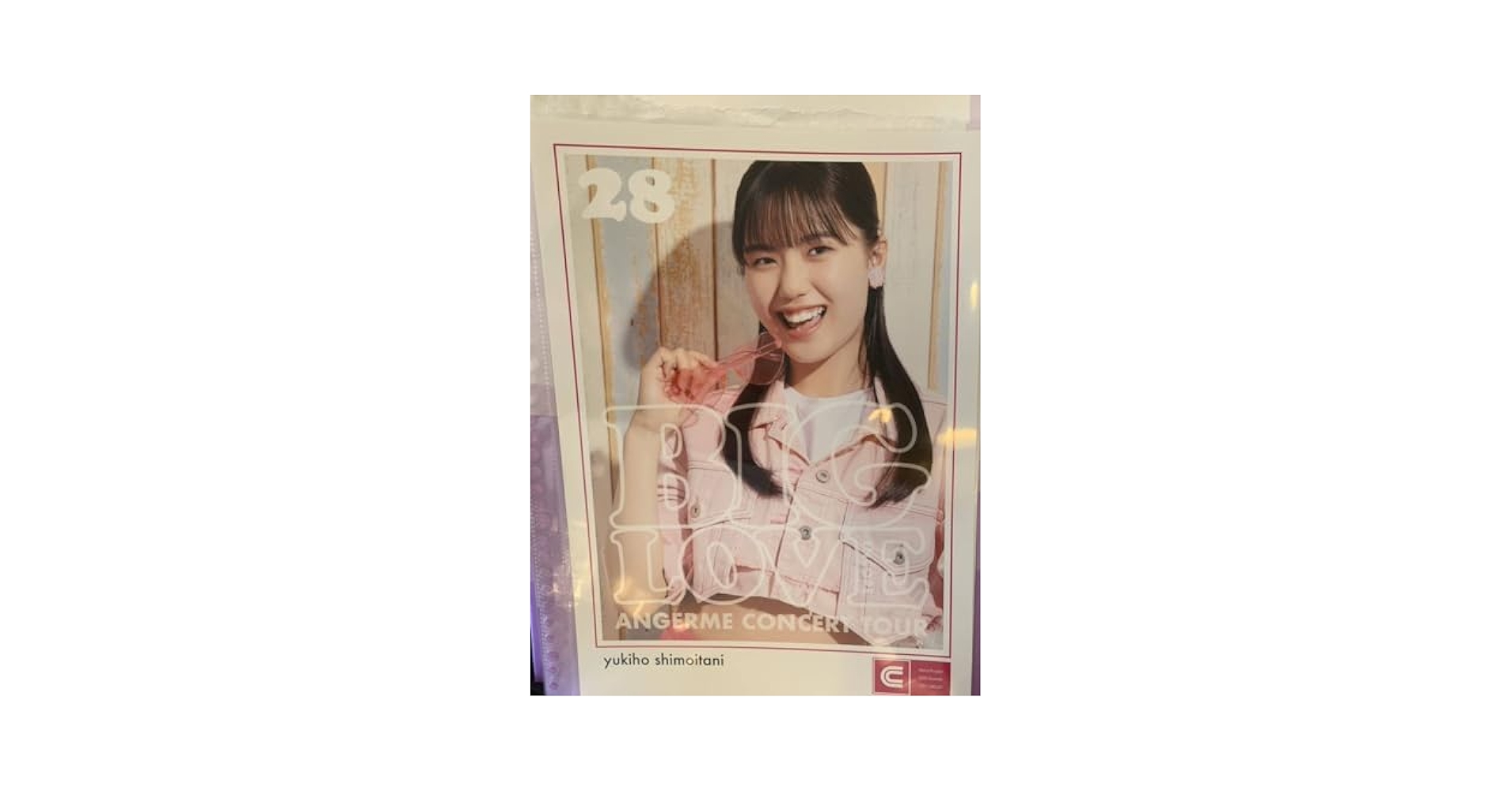 ハロープロジェクト ピンナップポスター ピンポス 櫻井梨央ピンポス』ハロプロ2025 Winter Fes.「各」/「合
