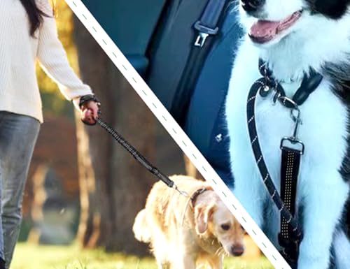 AOYEGIC Hund Anschnallgurt,Verstellbarer Auto Sitze Sicherheitsgurt,Hundegurt,Sicherheitsgeschirr,hundeanschnaller mit Schnalle und Pufferseilen,hundezubehör,für Große Mittlere Kleine Hunde(Schwarz)