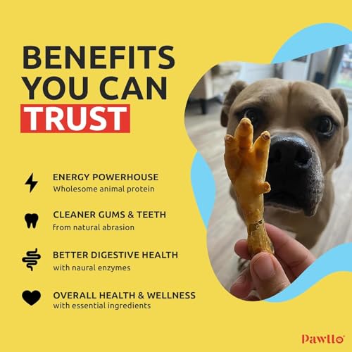 Image of Chicken Feet for Dogs - 200gm Pack of 1 | Highly Nutritional Dog Treats | Dried Dehydrated Chicken Feet | Glucosamine-Rich Treats | Dog Food