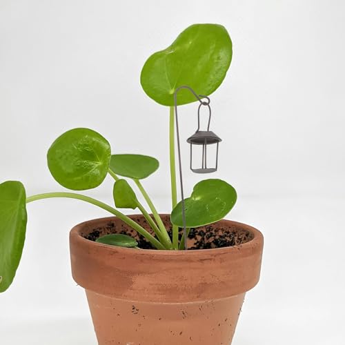 Support pour pots de fleurs et bonsaïs pour tuteurer vos plantes
