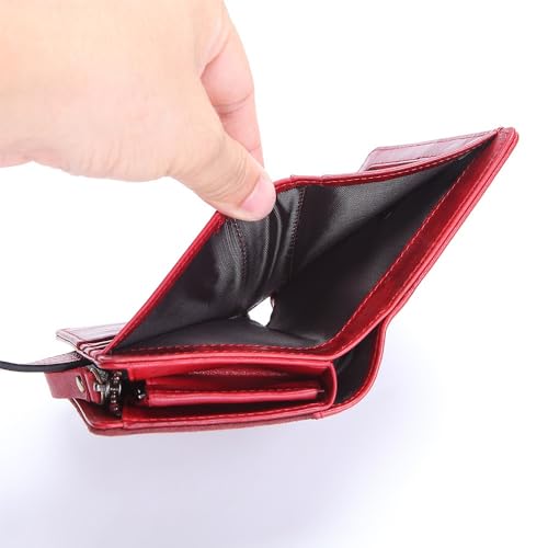 Men's and Women's Wallet Short Student Splicing Version Multi-function Coin Wallet Driver's License(white-Dinosaur Doodle4)3