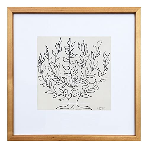 アンリ マティスHenri Matisse/Le platane-NA