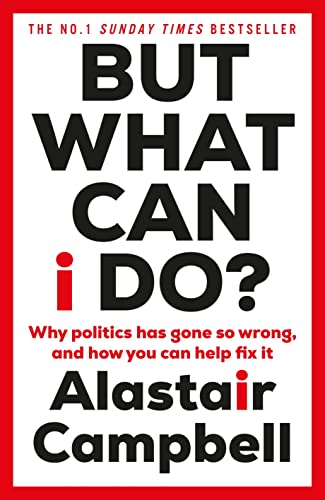 But What Can I Do? view 2