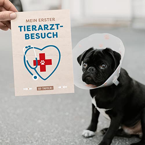 Kipitan Geschenk für Hundebesitzer: 30 Meilensteinkarten für Hund, Frauchen & Herrchen – als Hundetagebuch und Erinnerung an das erste gemeinsame Jahr
