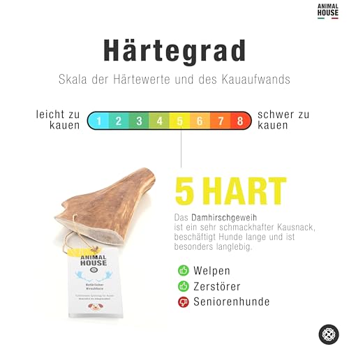 Animal House – Damhirschgeweih für Hunde – 100% natürlicher Kausnack – Stärkt die Mundhygiene – Widerstandsfähig und langlebig – In Allen Größen erhältlich (XL)