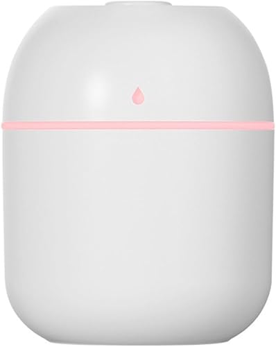 BRRNOO Mini Car Humidifier USB Plug in Quiet Portable Humidifier Fine Mist for Home Office Bedroom (Water drop 220 white USB)