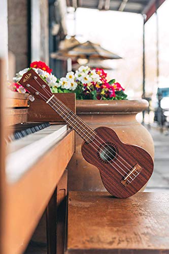 Kala KA-15sK5 Ukulélé soprano en acajou avec housse souple - Les Beatles, Paul McCartney, John Lennon, RIngo Starr, George Harrison Kala KA-15sK5 Ukulélé soprano en acajou avec housse souple – Image 6
