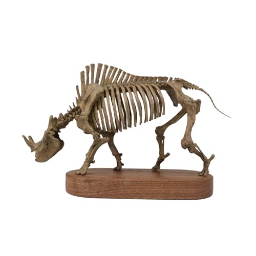 e 1/18TCY ugeE i  tBMA 23cm VnV Mj  H   ͌^ A l̂ vf  X^`[ v~A h i