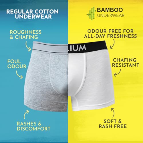 Image of HEELIUM Bamboo Underwear Trunk for Men | 3X Softer Than Cotton & Odour Free | Stretchy Fabric & Durable Waistband