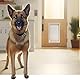 Ideal Pet Products Deluxe-Aluminium-Tür mit Teleskoprahmen, super groß, 38,1 x 50,8 cm, Klappengröße, Weiß
