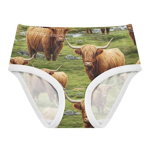 Cotton Girls Underwear Toddlers Vivid Highland Cows Grass Panties for Girl Colorful Briefs Kids Undies 2t