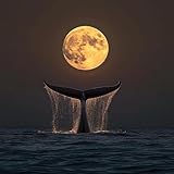 Diamond Art Kits for Adults, Moonlit Whale 5D Diamond Painting Kits Dots for Adults,5D DIY Paint by Diamonds,Full Drill Round Diamond Dot Gem Art Painting, for Home Wall Art Decor, 13.78X13.78 inch
