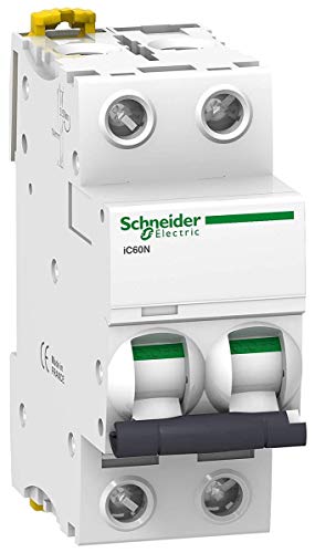 iC60N 2P 25A D disjoncteur modulaire phase neutre courbe D pour tableau electrique