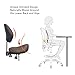 Nazalus Saddle Stool Chair with Back Support Footrest, Heavy-Duty(350LBS), Hydraulic Rolling Swivel Adjustable Stool Chair for Salon Spa Beauty Massage Dental Clinic Home Office Use(Coffee)