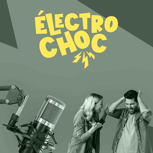 Pionniers vs d&eacute;butants : et si l'un des freins &agrave; la voiture &eacute;lectrique n'&eacute;tait pas juste humain ?