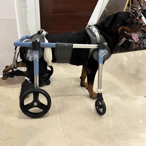 Carrello Cani Disabili Sedia a Rotelle per Cani Disabili Di Piccola/grande Taglia, Girello per Cani con Mobilità Assistita per Zampe Posteriori, Dispositivo di Recupero Posteriore per Bassotti a 2/4 R