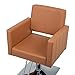 Bonnlo Salon Styling Chair for Hair Stylist Wide Seat, Hydraulic Barber Chair with Stainless Steel Footrest, Camel Hair Salon Chair Heavy Duty, Beauty Spa Cosmetology Shampoo Hairdressing Equipment