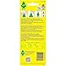 LITTLE TREES Car Air Freshener | Hanging Paper Tree for Home or Car | New Car Scent | 2 Pack