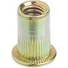 Astro Pneumatic Tool RN14 100-Piece 1/4-20 Steel Rivet Nuts
