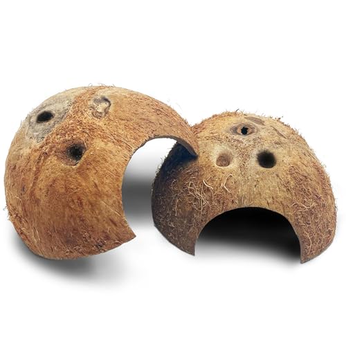 PINVNBY Natural Coconut Reptile Hideouts Lizard, Coco Hut Hermit Crab Hut Aquarium Fish Hide Cave for Small Reptile Crested Gecko Leopard Gecko Spider Snail Climber Toys (2 PCS Natural Surface)