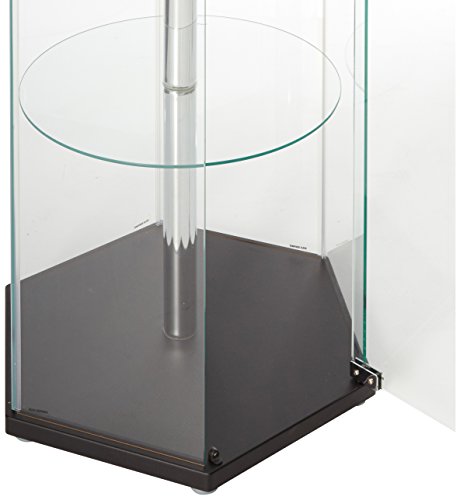 Hexagon Shaped Curio Cabinet Black and Clear