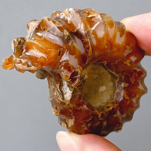 Piedra decorativa de cristal caracola natural TINEASUR hogar 6