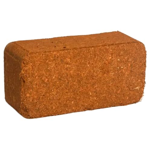 See full amazon price history chart for Renu Coir - Cocopeat Cake for Plants for Home Gardening - Ready to use | 500g -Renu_Coir_131 Renu Coir - Cocopeat Cake for Plants for Home Gardening - Ready to use | 500g -Renu_Coir_131 (B0D849X4QN) Amazon Price History, Amazon Price Tracker