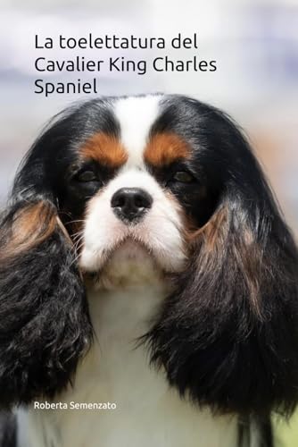 La toelettatura del Cavalier King Charles Spaniel