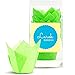 Tulip Baking Cups | Cupcake or Muffin Liners (Key Lime Green) 100 Count