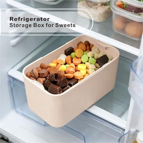 Image of SANIDIKA Lockable Storage Box, Locking Medicine Box, Cell Phone Locked Jail, Food Medical Lockbox, Containers Bin for Personal Refrigerator Home Office Organization Travel Farther Gift (Cream Plus)