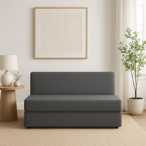 PUM PUM 2-Seater Sofa Cum Bed – Modern Convertible Sleeper with Space-Saving Design,Grey