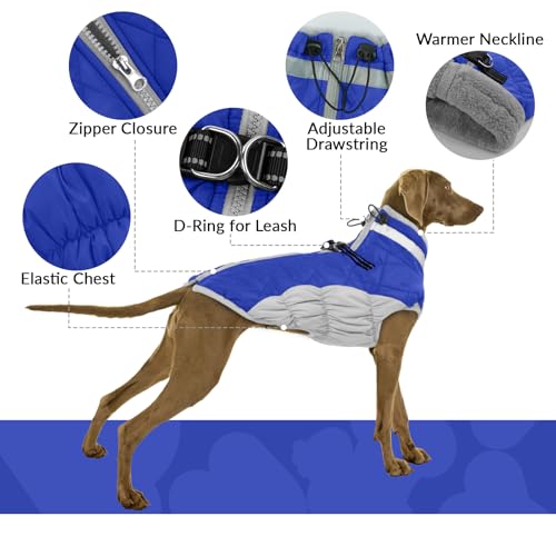Hundepullover für Kleine Hunde, Hundejacke Wasserdicht Warmer Hundemantel Kleine Hunde Thermomantel Fleece Hunde Warme Winterjacke Rollkragen Winddicht Hunde Bekleidung für Winter Herbst(Blau, S)