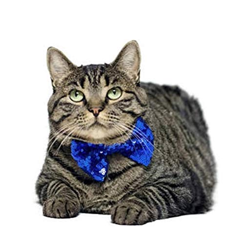 Roupa para cachorros-Fofo adorável gato cachorro animal de estimação festa de aniversário gravata bo