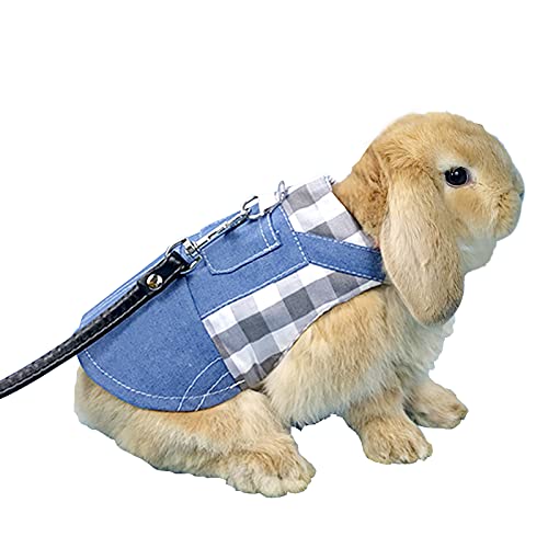 Set Imbracatura e Guinzaglio per Coniglio