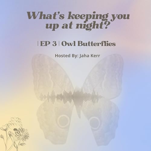 What's Keeping you up at night? | EP 3| Owl Butterflies