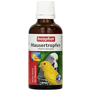 BEAPHAR – Mausertropfen Vitamin-Komplex – Nahrungsergänzungsmittel Für Vögel – Mit Vitamin A, C, D3, E, K, B-Komplex – Unterstützt Natürliche Abwehrkräfte, Fördert Sprech- Und Sangesfreude – 50 ml