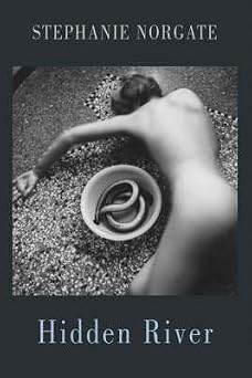 [Hidden River] By Stephanie Norgate [published June, 2008]