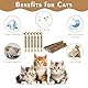 Tikplus 21 Stück Katzenminze Stick, 6 Stück Katzenminze Spielzeug 15 Stück Matatabi Stick Katze, Katzen Kauhölzer Sticks für Katzen Zahnpflege und Gegen Mundgeruch Katzensticks Kausticks
