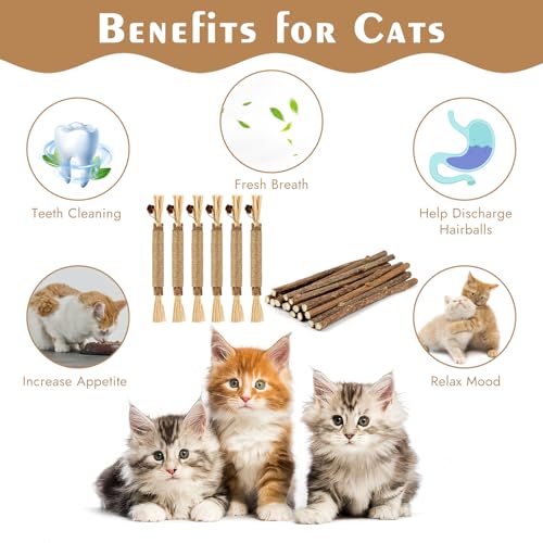 Tikplus 21 Stück Katzenminze Stick, 6 Stück Katzenminze Spielzeug 15 Stück Matatabi Stick Katze, Katzen Kauhölzer Sticks für Katzen Zahnpflege und Gegen Mundgeruch Katzensticks Kausticks
